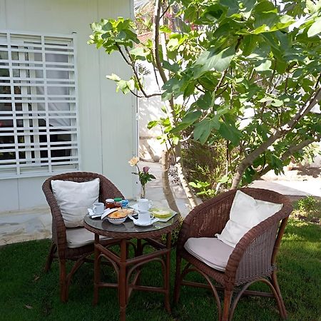 Vila Au Bout Du Jardin Kartágo Exteriér fotografie